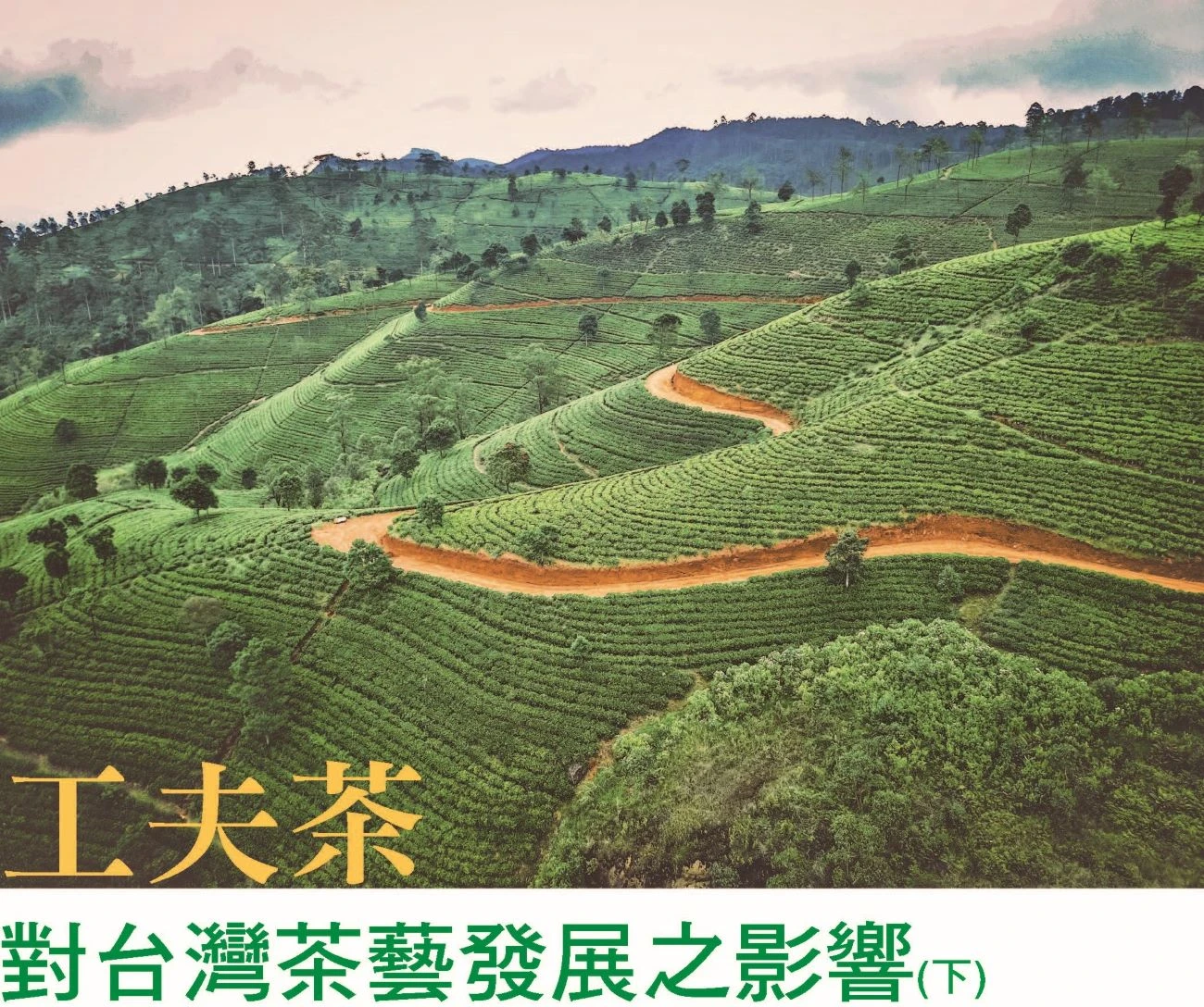 工夫茶 對台灣茶藝發展之影響(下)