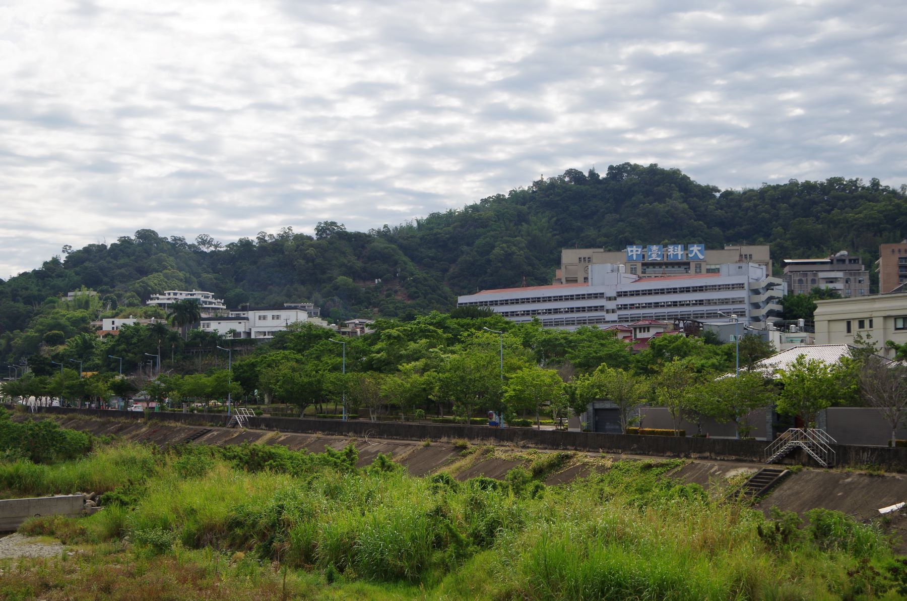文華逢甲之搖籃